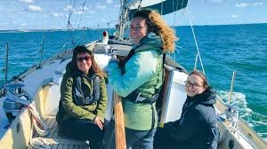 Improving VessalVault: User Feedback & Website Enhancement